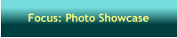 Focus: Photo Showcase